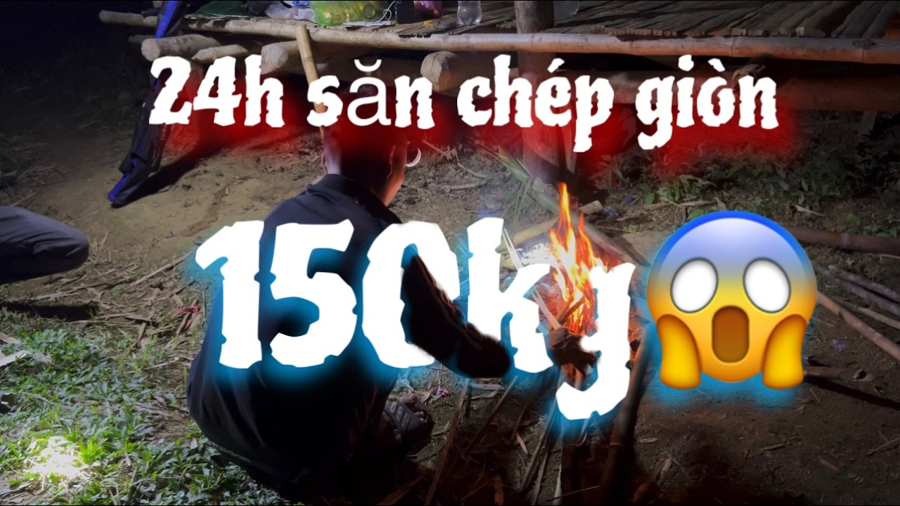 Câu cá tự nhiên, săn chép 150kg