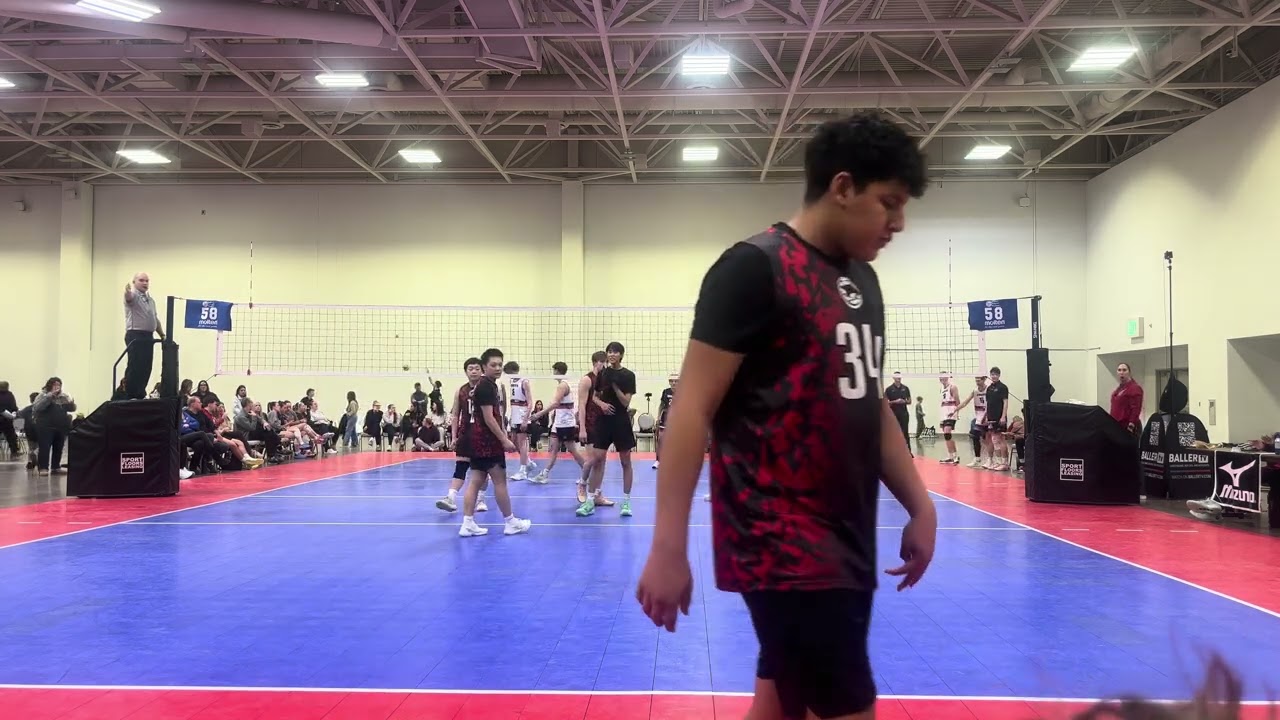 Shabo 18-1 V.S. MN Select 18-3 (Part 2 2-0 W)