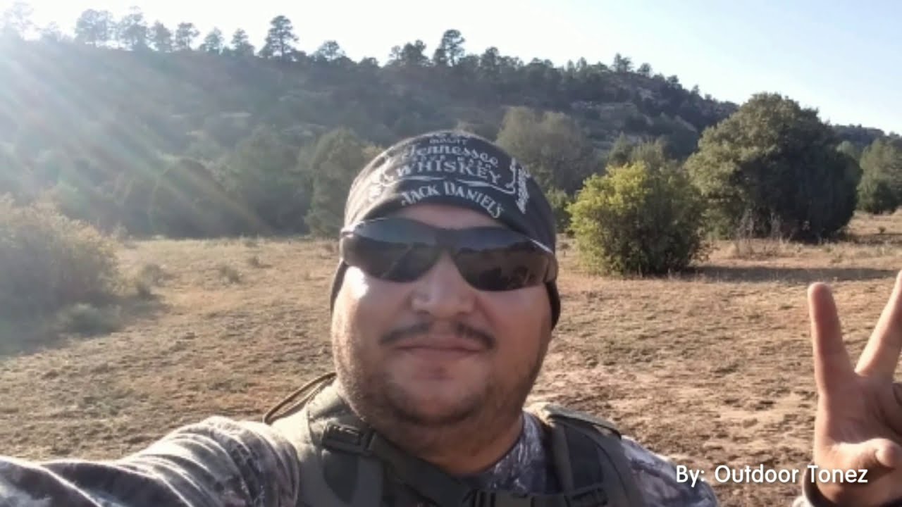 Black Bear Got Scared