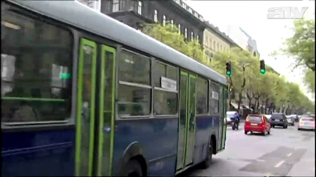 Pékséget nyitott a kirúgott vicces buszsofőr
