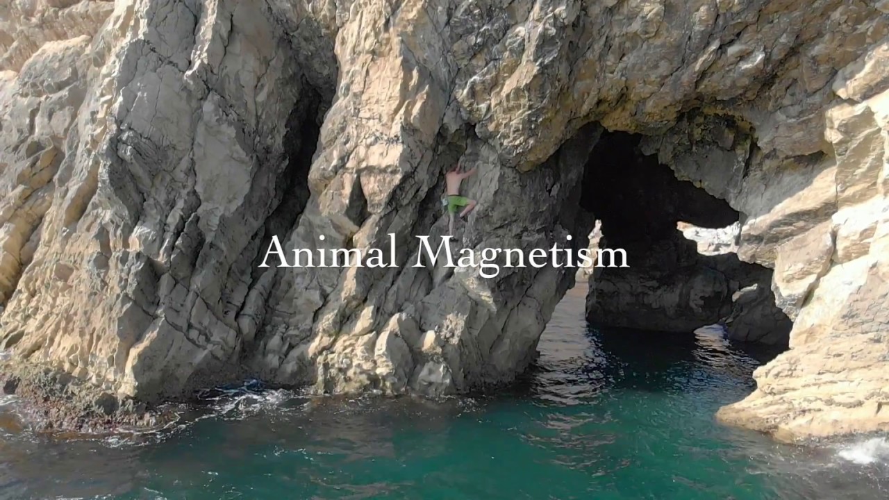 Deep Water Soloing 7A+ Animal Magnetism At Lulworth