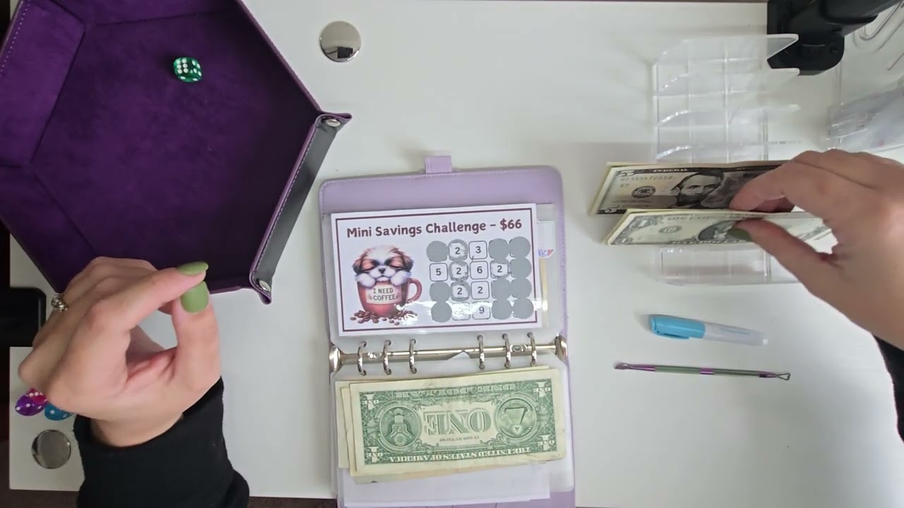 Jan 25th Challenge Binder Stuffing $175