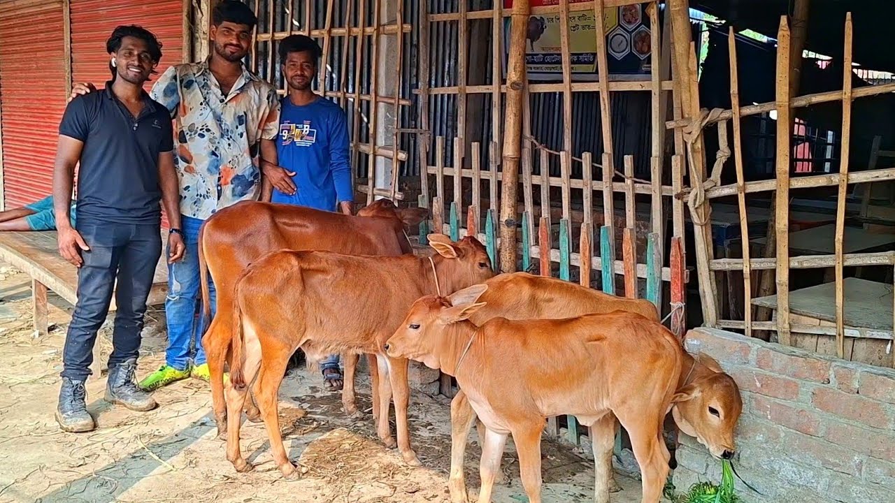 @আজ ১২ মার্চ