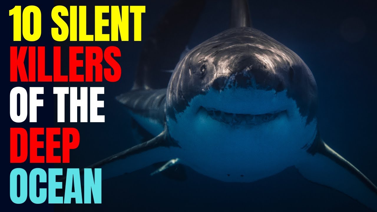 10 Silent Killers of the Deep Ocean