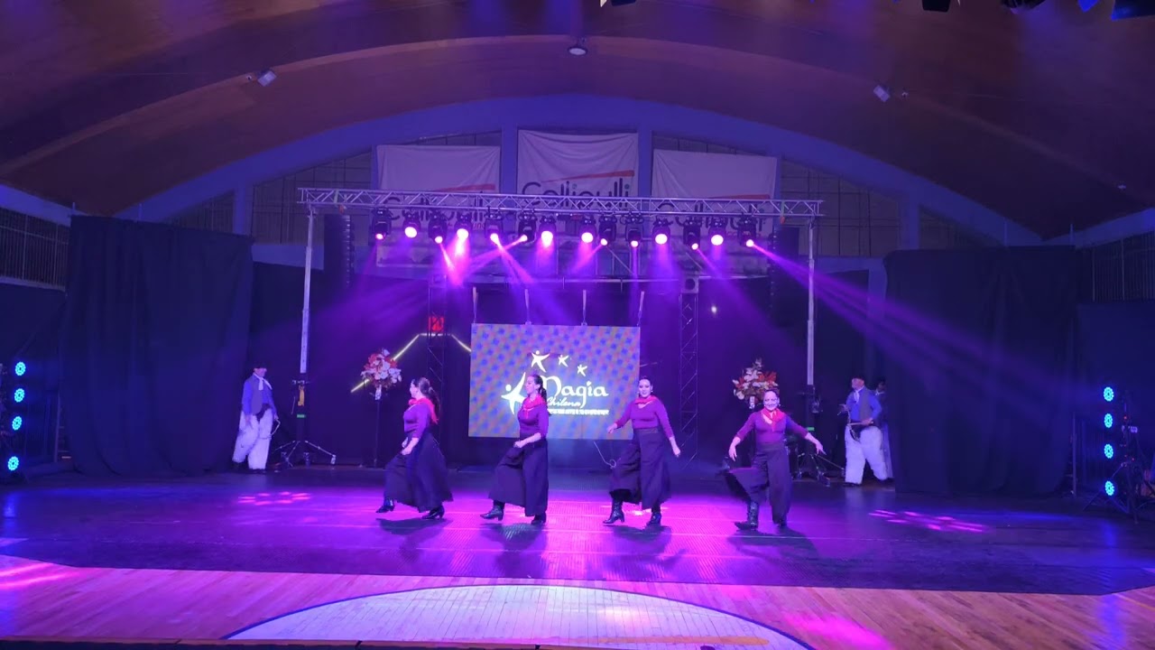 Día de la Danza Collipulli 2025, Magia Chilena 2