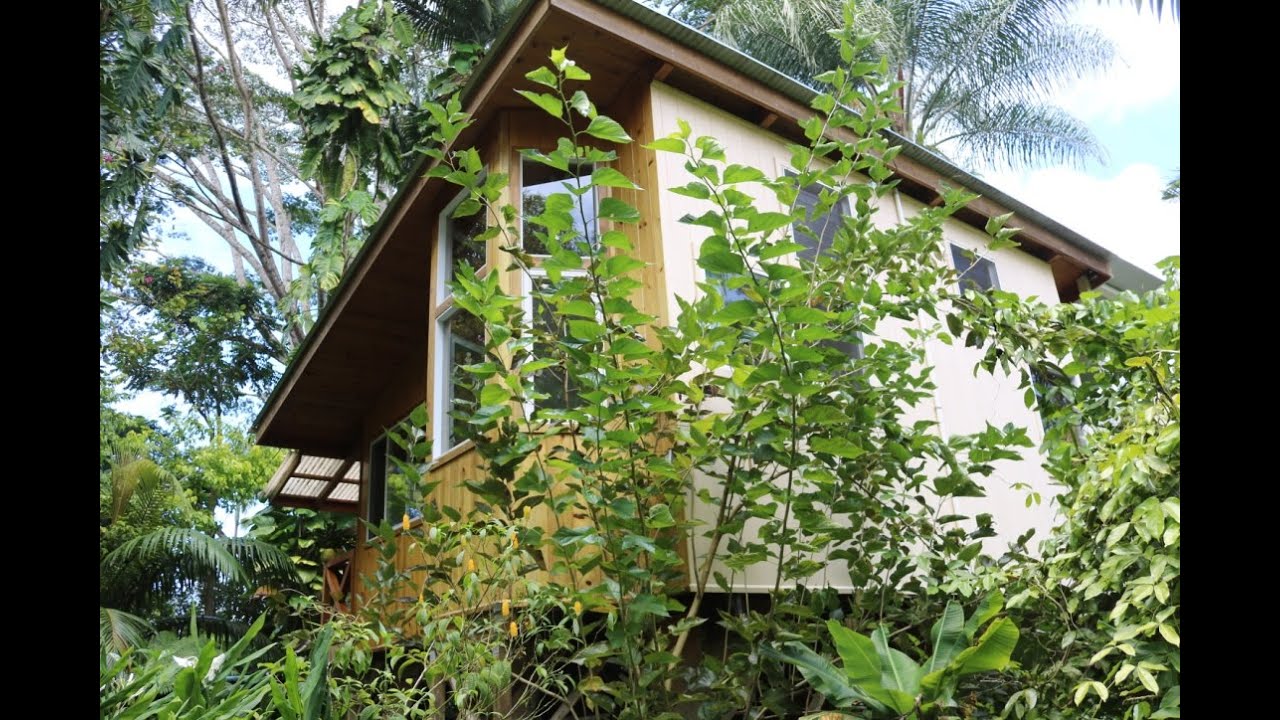 Uau Road   Walking Tour - 16-1555 rd 5 Kurtistown, Hawaii