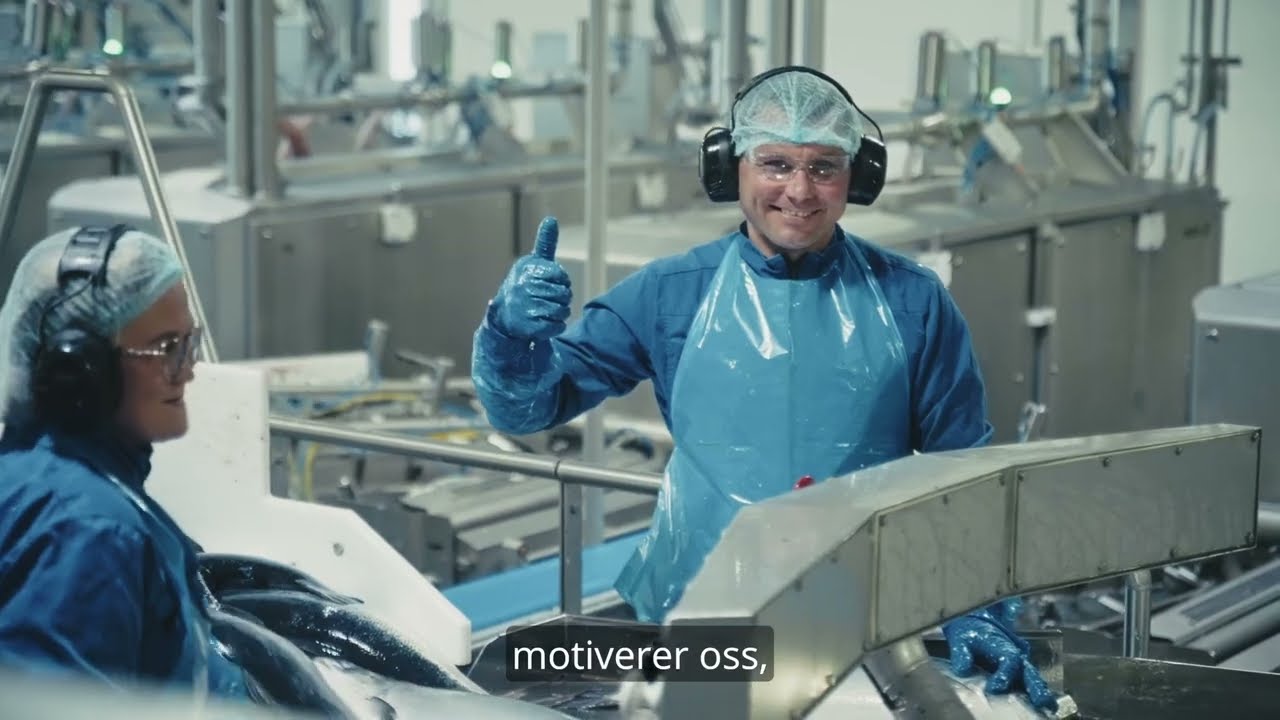 Bli kjent med SalMar Industri
