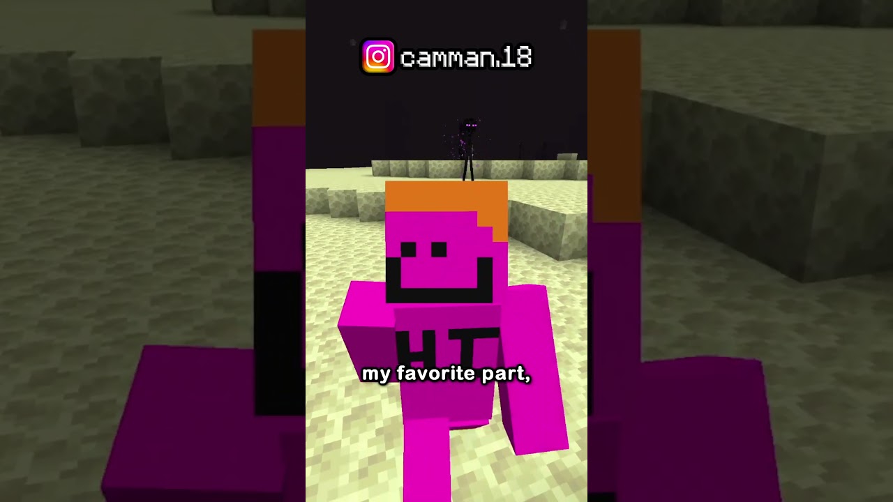 THE NEW MINECRAFT WORLD RECORD