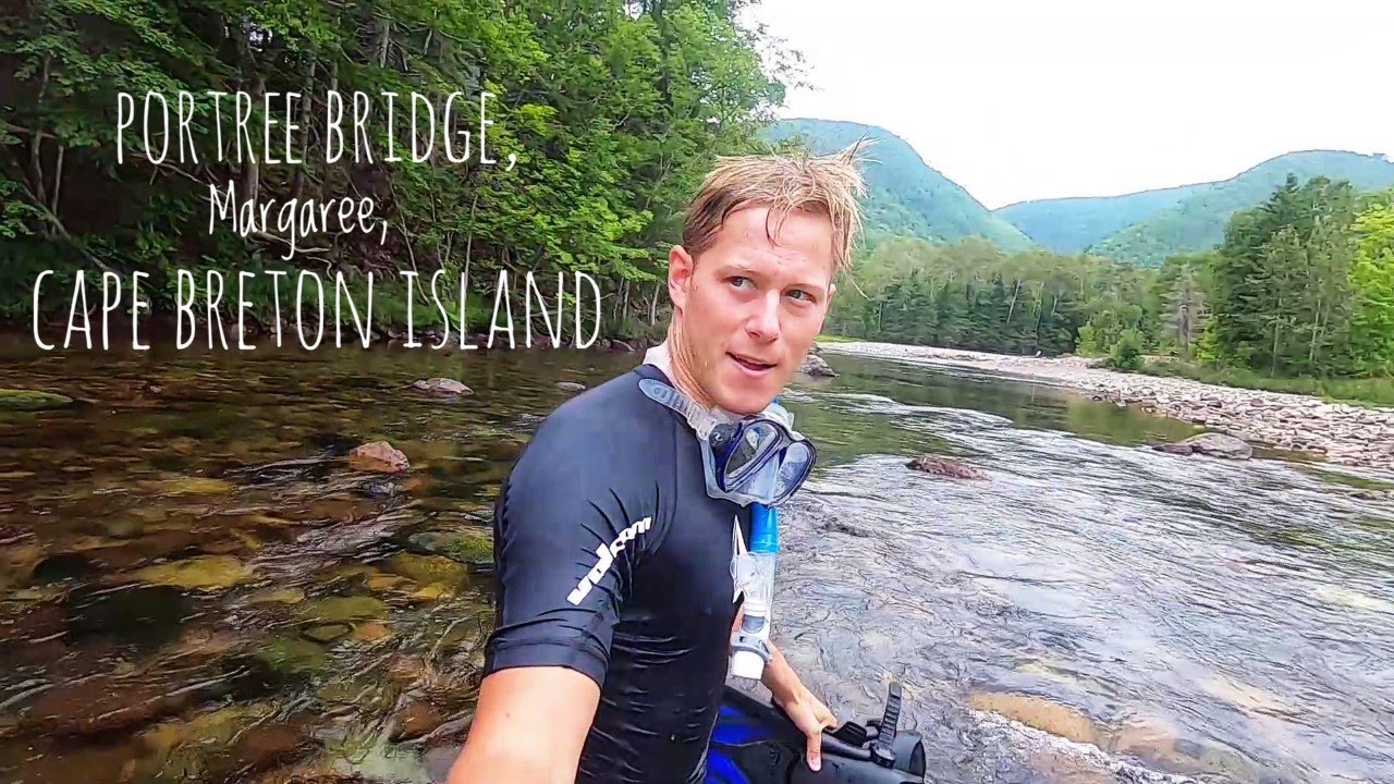Searching for Salmon at the Portree Bridge, Margaree, Cape Breton | Eels | Salmon | Trout