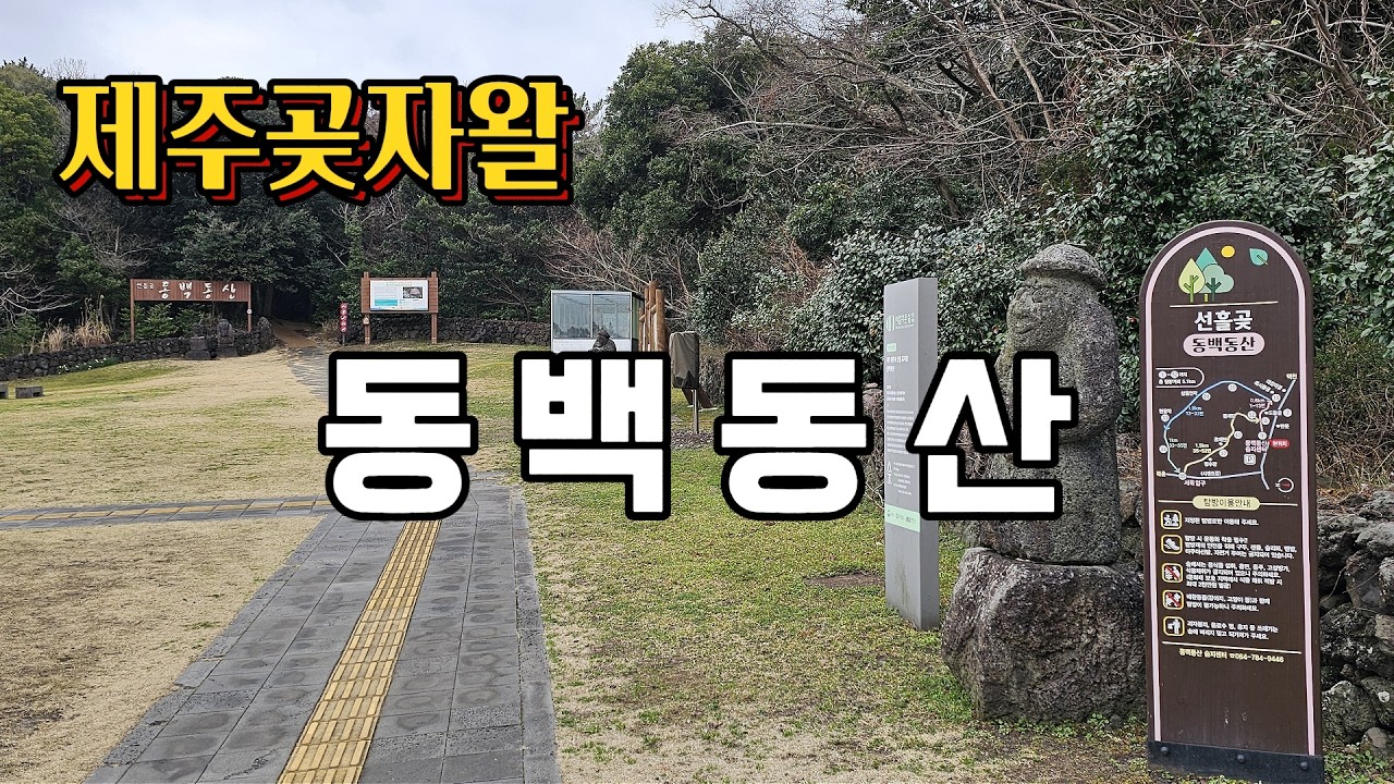 제주 곶자왈과 동백동산