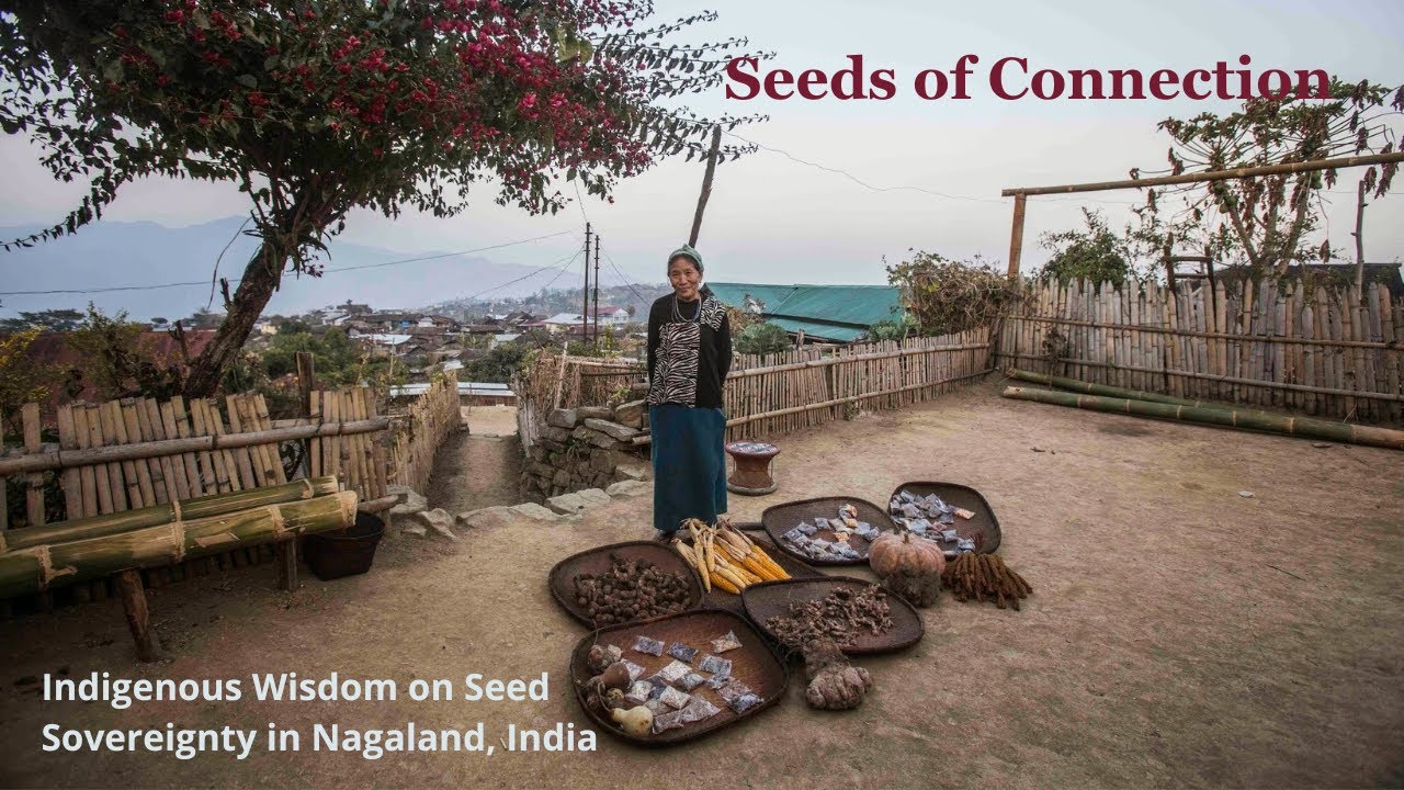 Seeds Of Connection