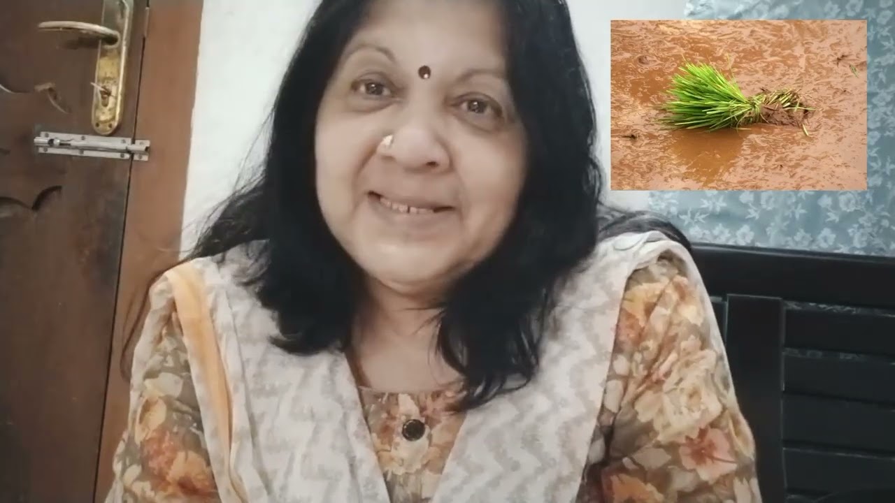 ഈ ലോകം!! എന്റെ കാഴ്ചപ്പാടുകൾ!!  നെൽകതിർ പുരാണം... 🌹🌹
