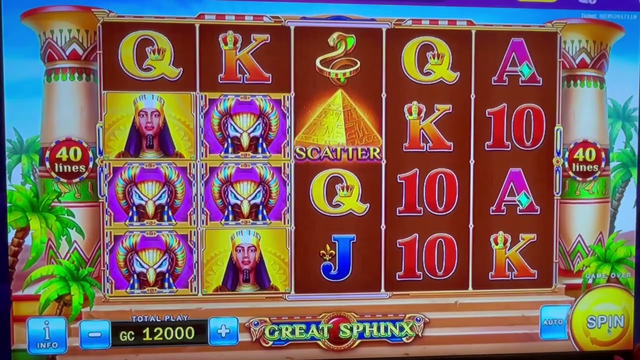 Fortune Coins contest video