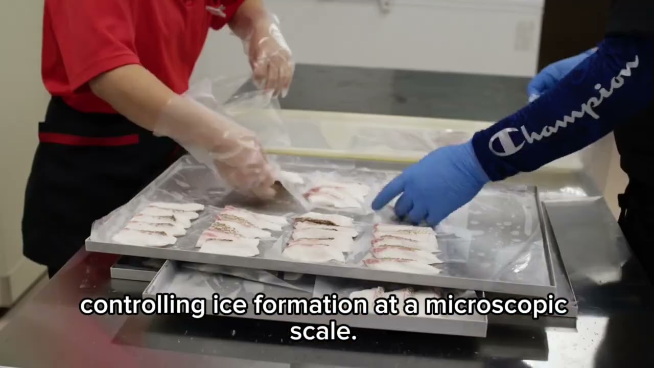 PROTON FREEZING OF FISH FOR SUSHI