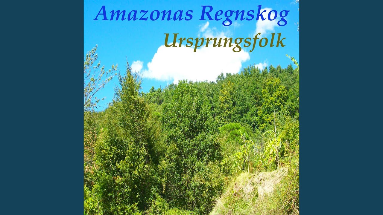 Amazonas regnskog