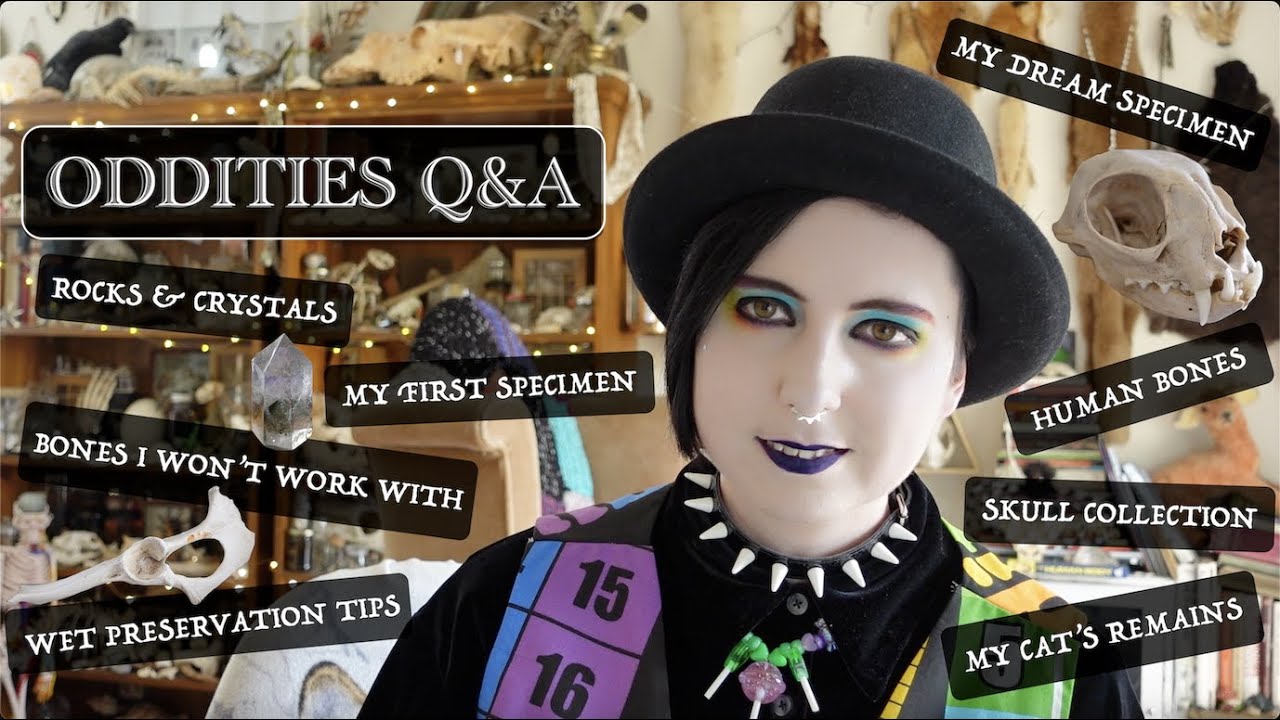 Human Bones on eBay, Keeping Pet Remains & More | Oddities Q&A