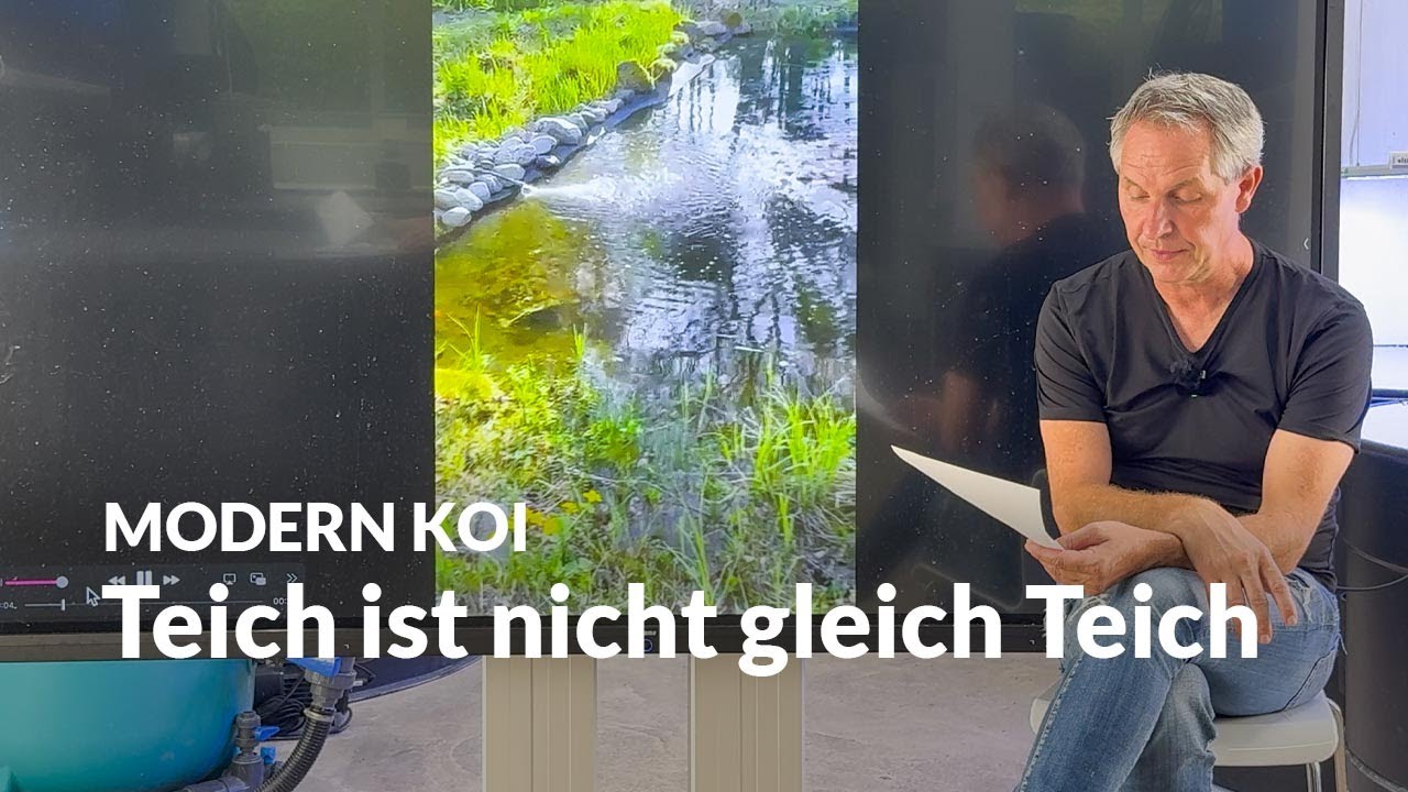 Kann ein Naturteich ein Koiteich sein? | Modern Koi Blog 