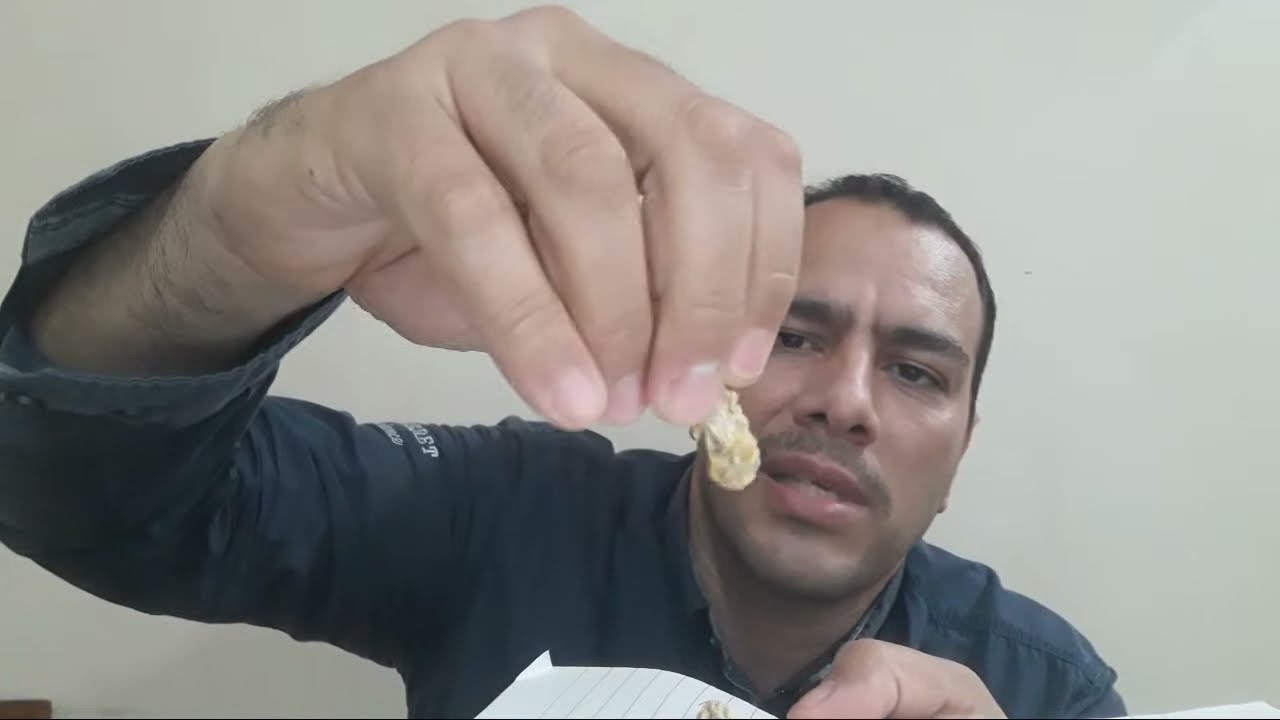 كيفية تربية الحمام بدون أمراض واسباب امراض الطيور من طبيب الحمام | دكتور حمام