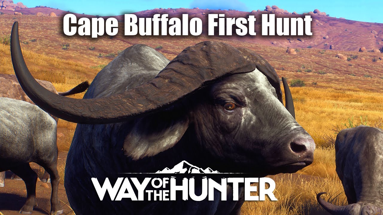 Way Of The Hunter - Cape Buffalo First Hunt