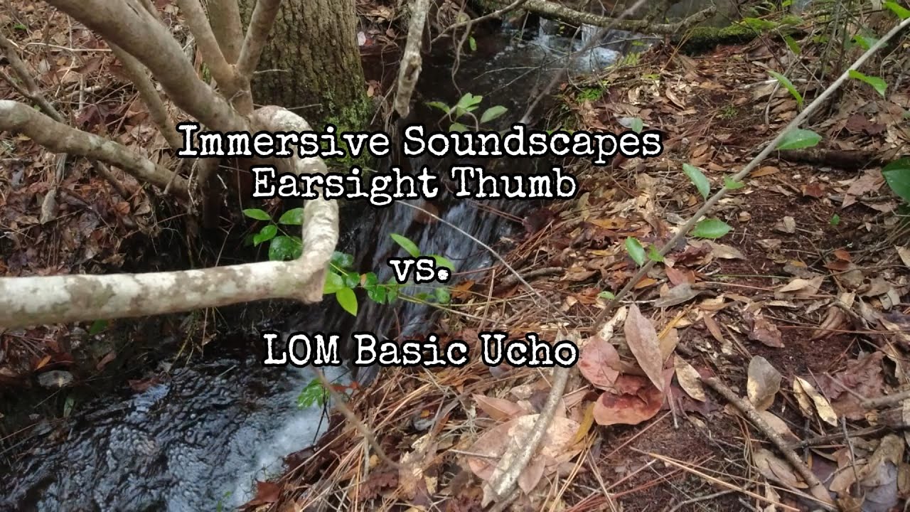 Microphone samples ~ LOM Basic Ucho & Immersive Soundscape Earsight Thumbs.
