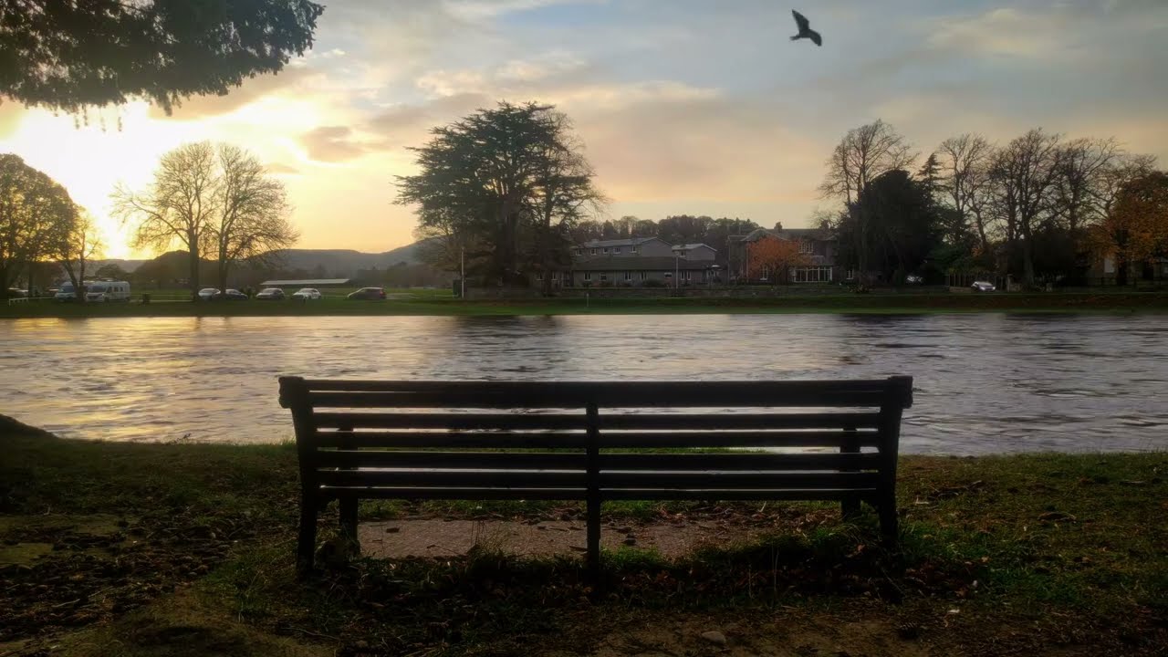 Kotzi feat. daddy_dee - Twoja ulubiona ławka