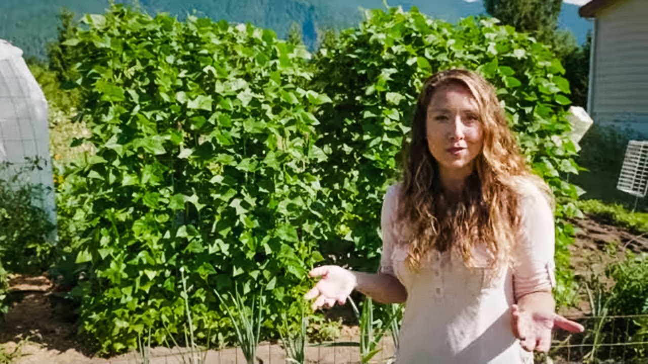 We Started Growing Our Vegetables Vertically & This Is What Happened