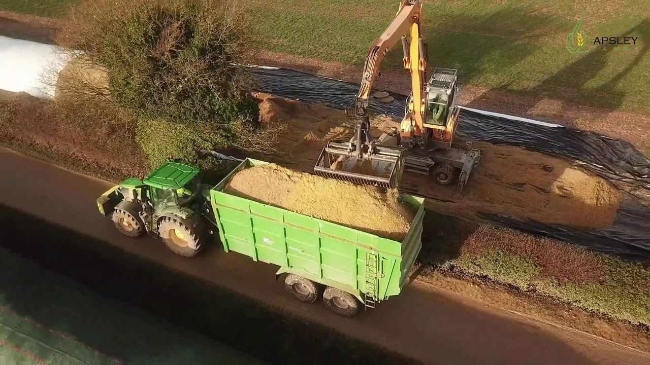 Unloading wholecrop Rye from an agbag with a Liebherr LH30