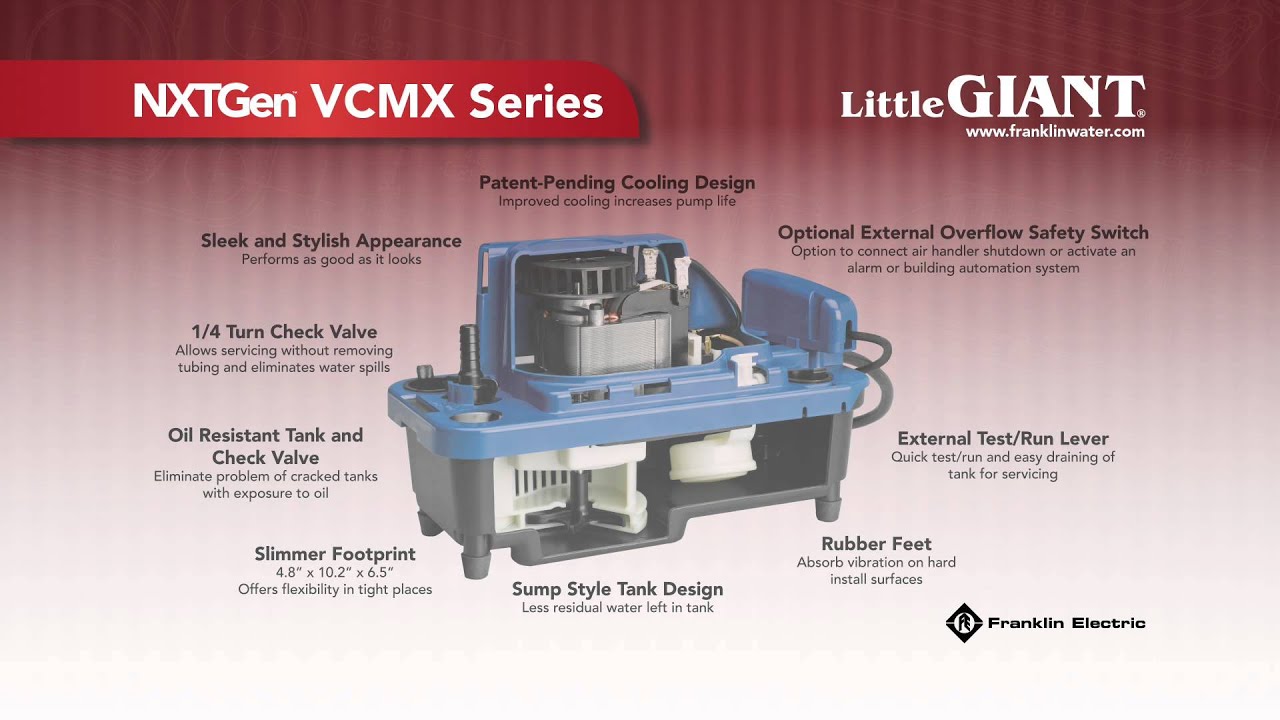 Little Giant NXTGen Video