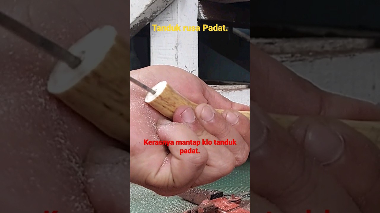 Cara ngebor pipa rokok dari tanduk rusa yg padata. #pengrajin #once #piparokok #rusa