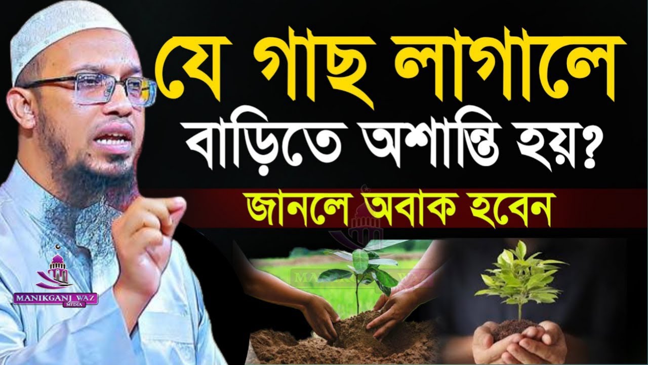 বাড়িতে যে গাছ লাগালে অশান্তি লেগেই থাকে! জেনে নিন। আহমাদুল্লাহ-Shaikh Ahmadulla#wazFeb 20, 20260 AM