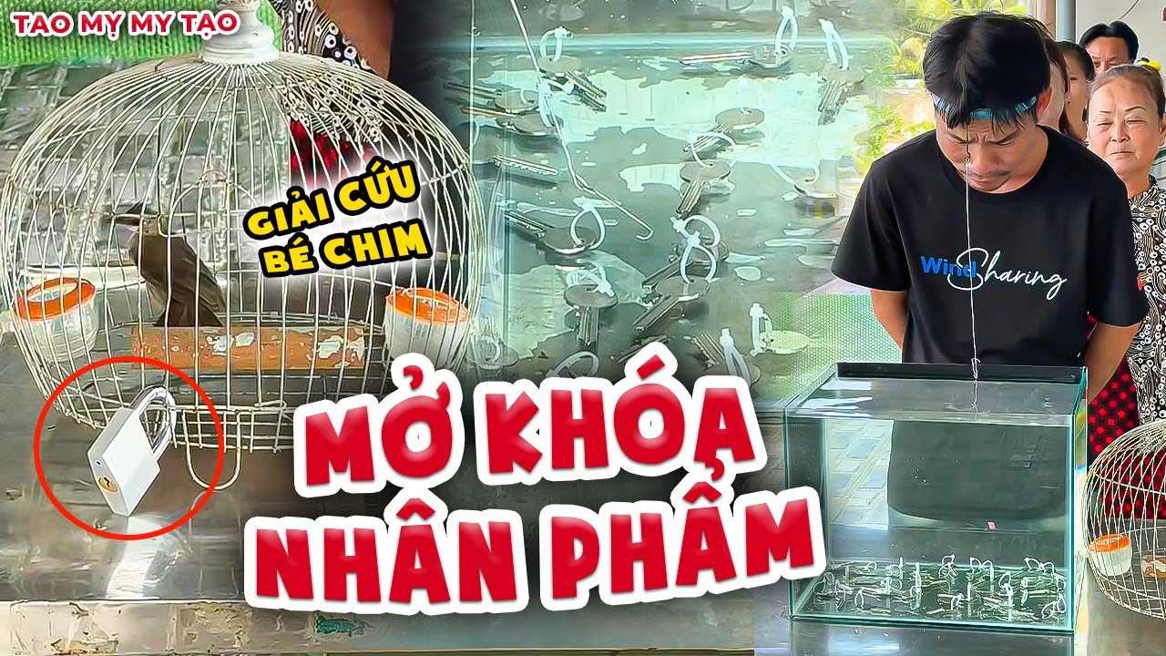 Thử Thách Mở Khóa Nhân Phẩm - Giải Cứu Bé Chim Hồi Hộp Và Cái Kết | Tao Mỵ My Tạo