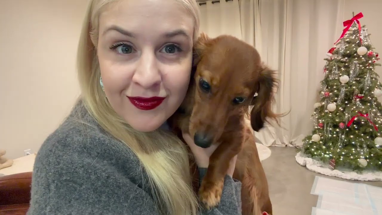 New Year's Eve Vlog