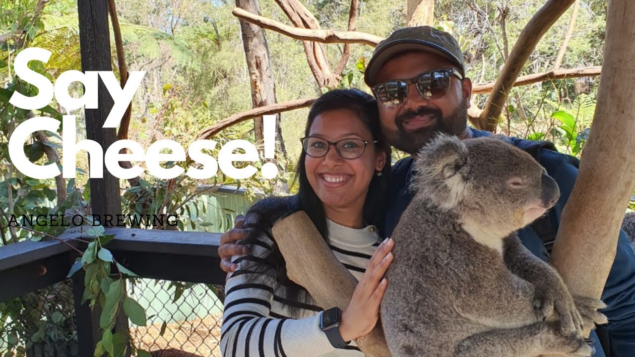 A Day out at the Australian Reptile Park | Gosford | Travel Bugs