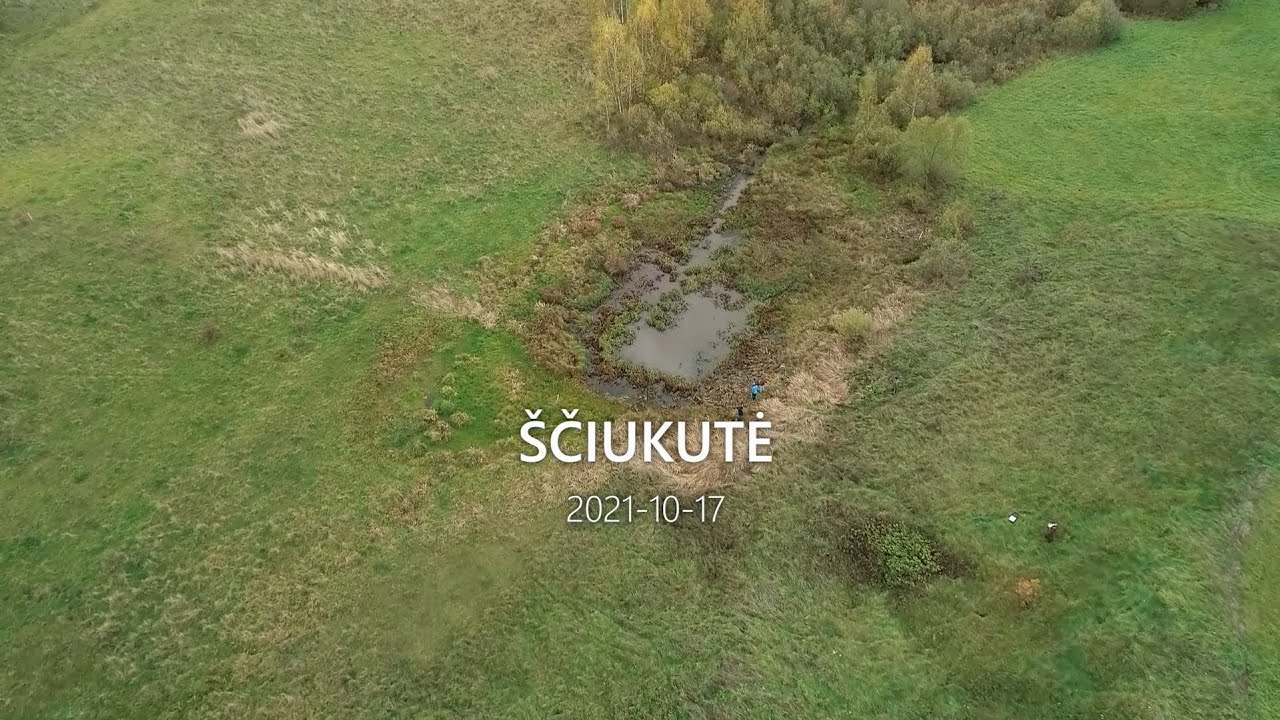 Ščiukutė Laukagalyje ir Benkūnuose