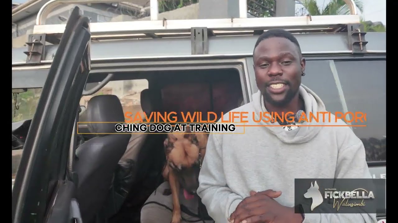USING DOGS TO SAVE WILD LIFE 