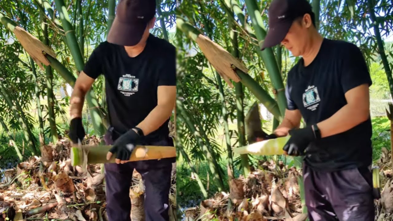Clearing stagnant water, removing weeds, and preventing mosquito bites are the most important
