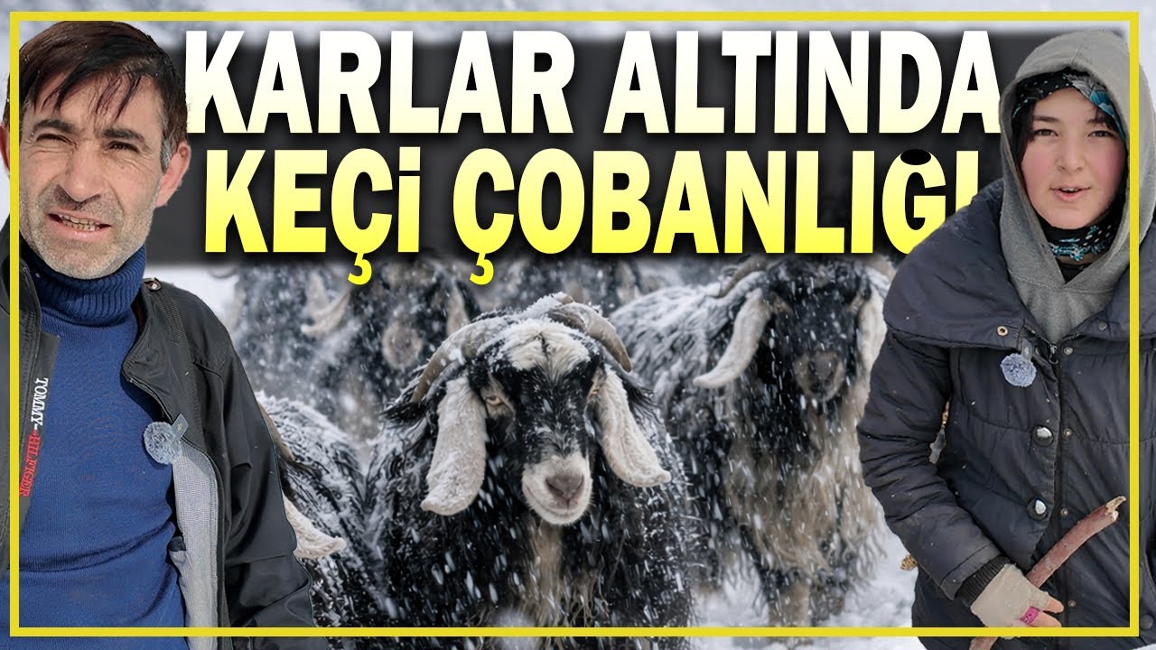 Kar Altında Ekmeğinin Peşinde- Kar, Soğuk ve Keçiler