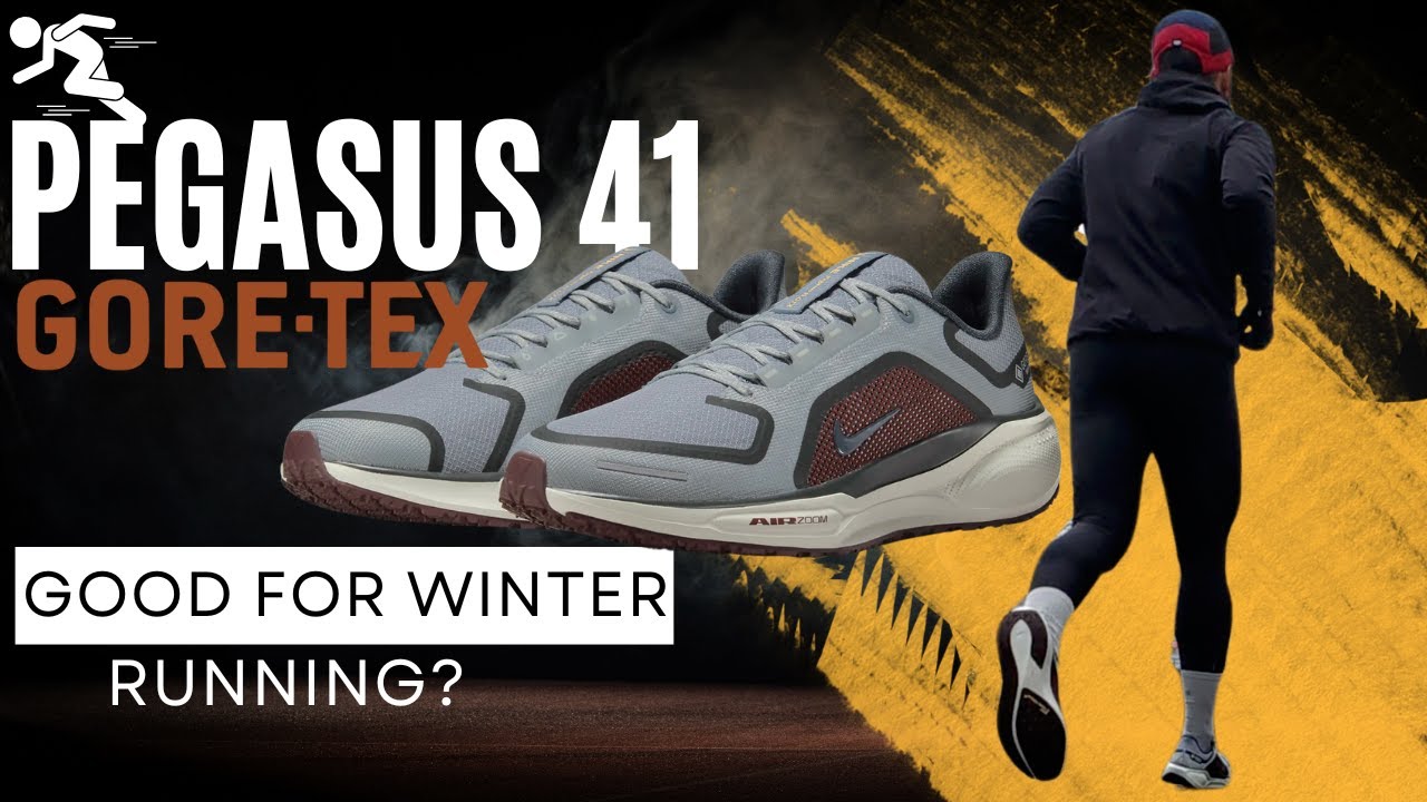 Обзор Nike Pegasus 41 Gore-Tex