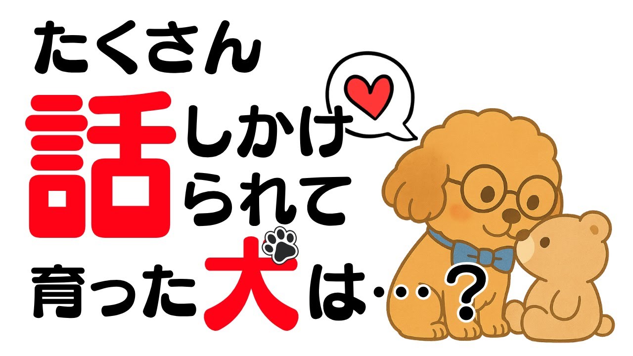 【犬の雑学】たくさん話しかけられて育った犬は…？
