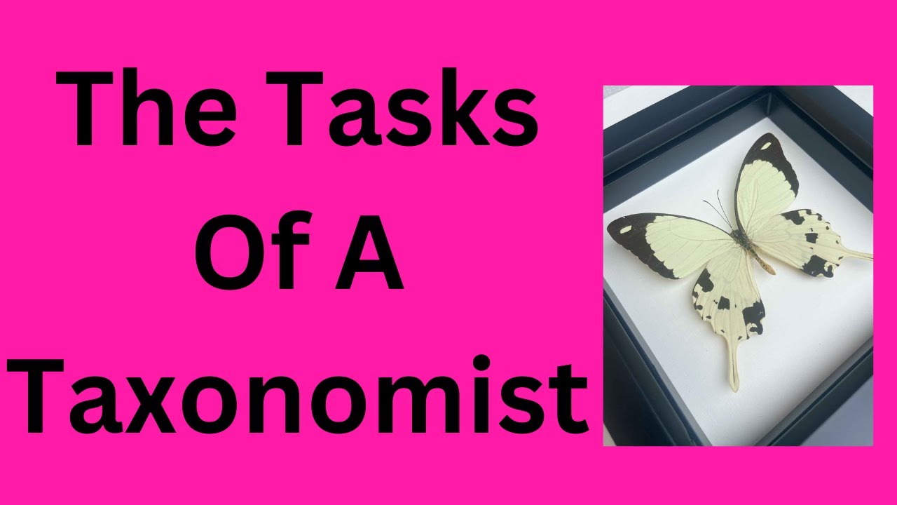 The Tasks of a Taxonomist
