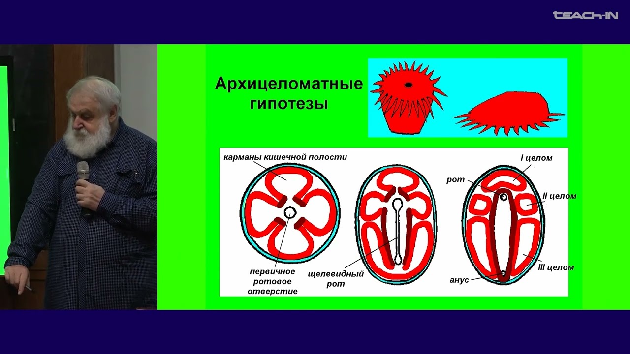 Малахов В.В. -Зоология беспозвоночных -10.Происхождение Трехслойных двустороннесимметричных животных