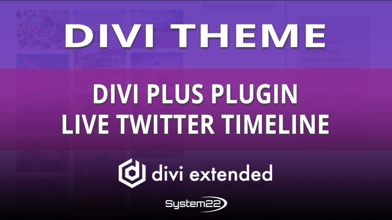 Divi Theme Divi Plus Plugin Live Twitter Timeline 👈