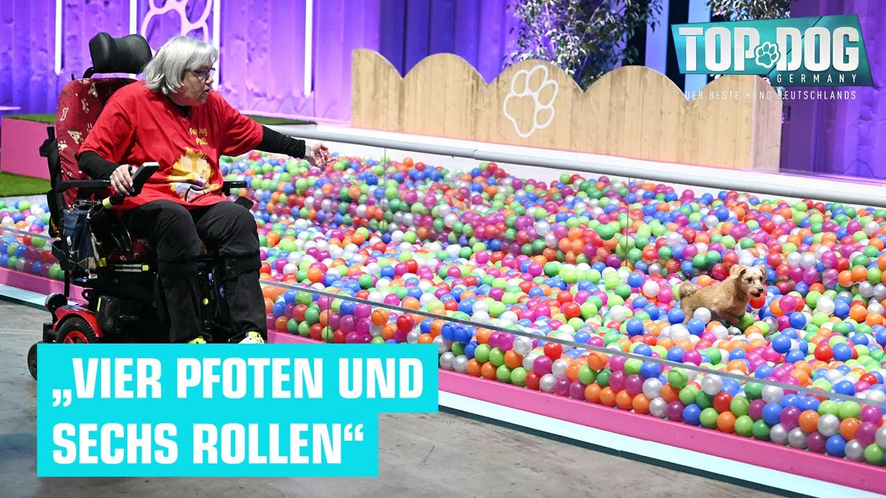 Das beeindruckendste Duo EVER für Buschi 😍 | Top Dog Germany 2024