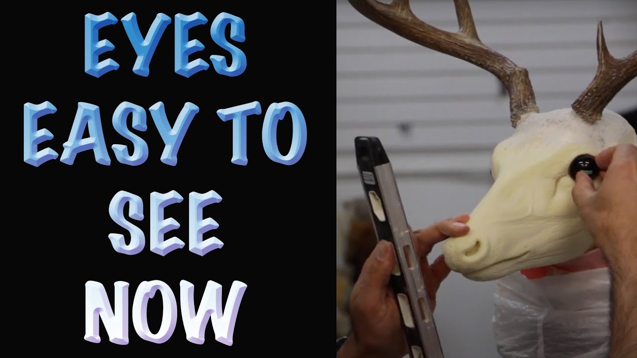 Coues deer Taxidermy. How the dark eye tip helped us now? Art of Taxidermy