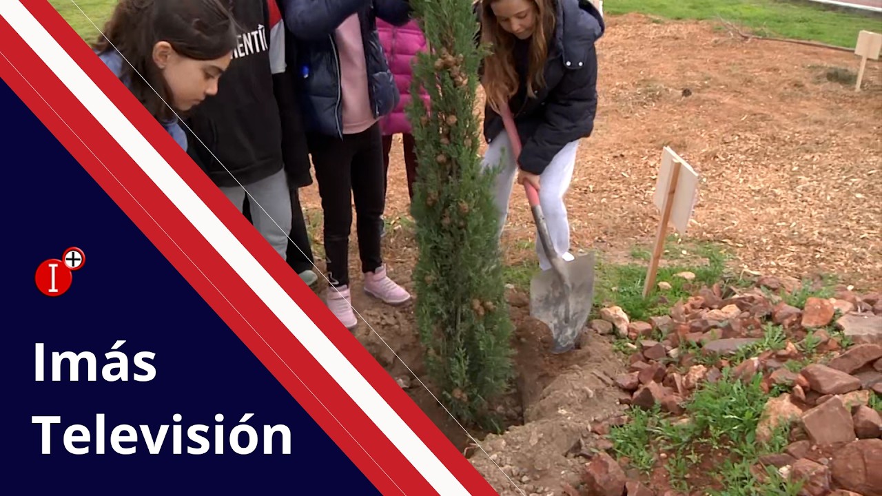 REFORESTACIÓN con los MÁS PEQUEÑOS, la CALLE PANADEROS SE LLENA de ÁRBOLES y ARBUSTOS