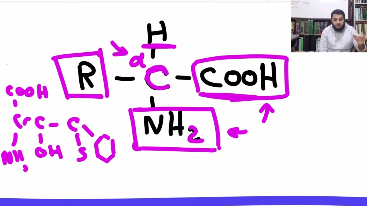 Amino Acid Riv