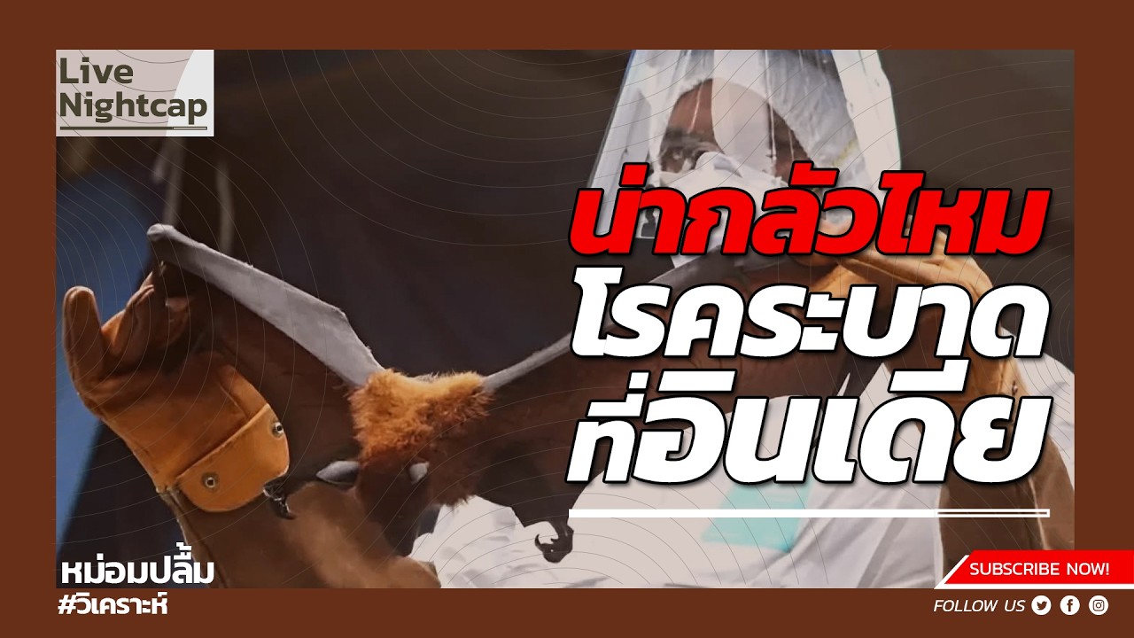 น่ากลัวไหม โรคที่ระบาดที่อินเดีย