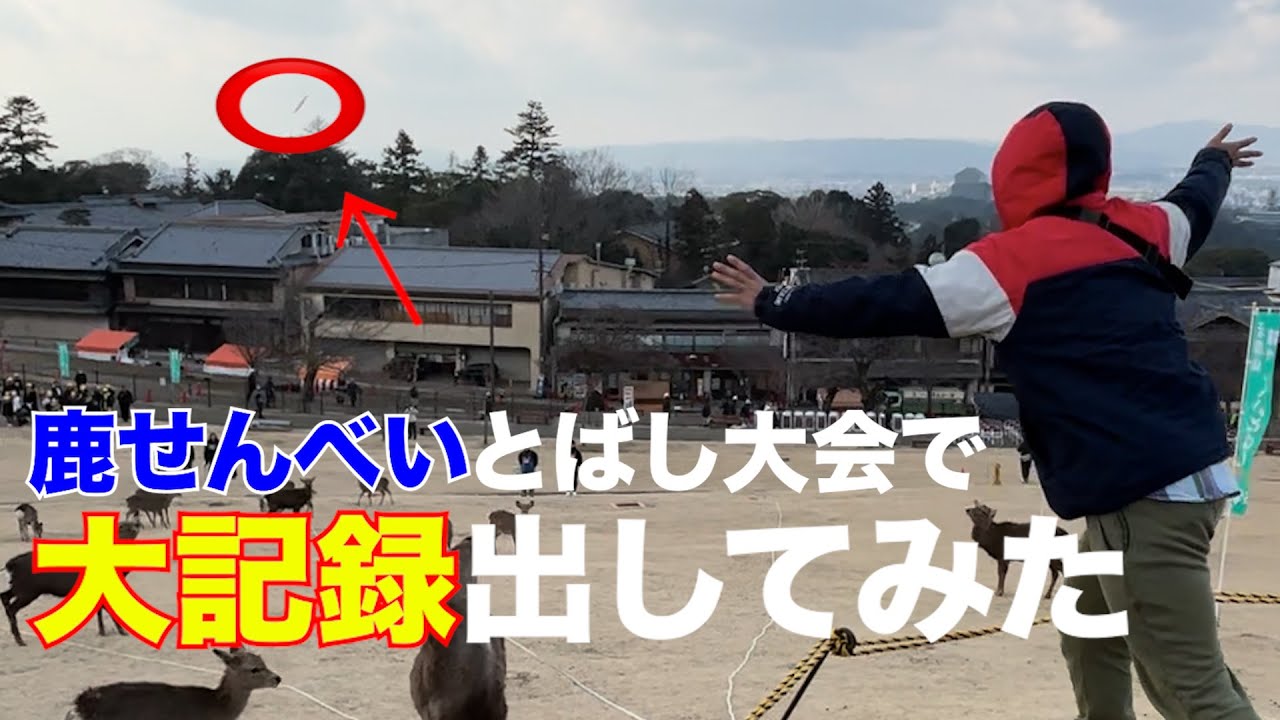 鹿せんべいとばし大会のコツ教えます【Nara Park】