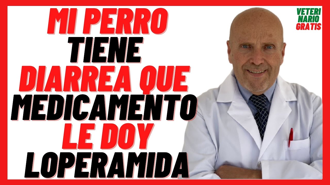 🟠 Mi PERRO Tiene DIARREA qué MEDICAMENTO le DOY  🟠 LOPERAMIDA (FORTASEC) para PERROS