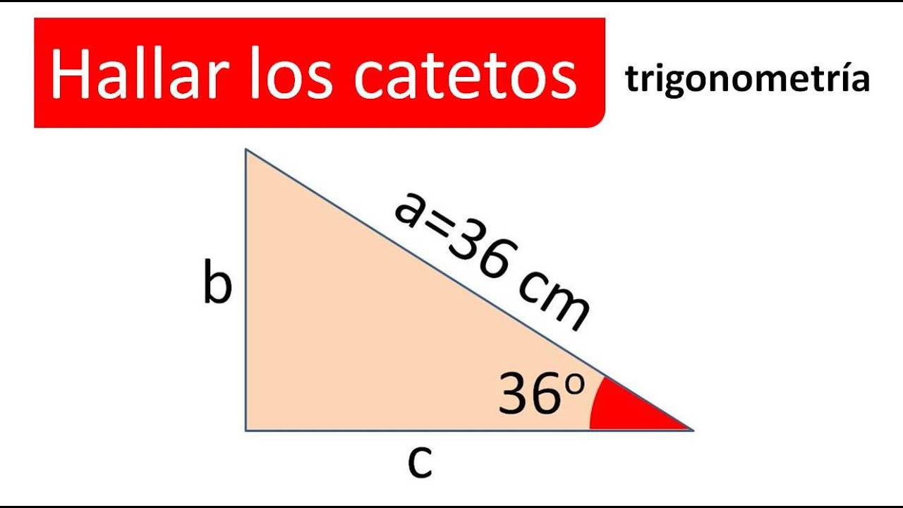 HALLAR LOS CATETOS. CONOCEMOS LA HIPOTENUSA Y UN ÁNGULO. Trigonometría